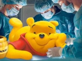 Winnie Can’t Pooh, Needs Surgical Intervention pooh