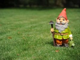 Study: 90% Of Rectal Foreign Bodies Are Idiopathic garden gnome