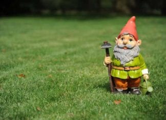 Study: 90% Of Rectal Foreign Bodies Are Idiopathic garden gnome