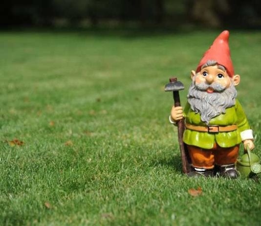 Study: 90% Of Rectal Foreign Bodies Are Idiopathic garden gnome