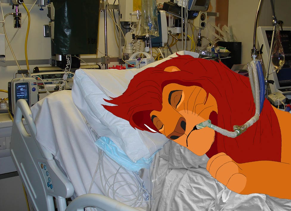 Lion King Remake to Include Mufasa's Prolonged ICU Admission and Futile