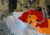 Lion King Remake to Include Mufasa’s Prolonged ICU Admission and Futile Care Prior to Death