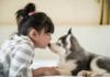 Study Finds Puppies, Ice Cream, New Toys Associated with Immediate Cessation of Pediatric Pseudoseizures puppy pediatrics