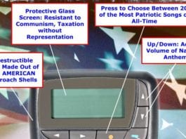 Patriotic Call Lights, Pagers to Play National Anthem anatomy, Independence Day