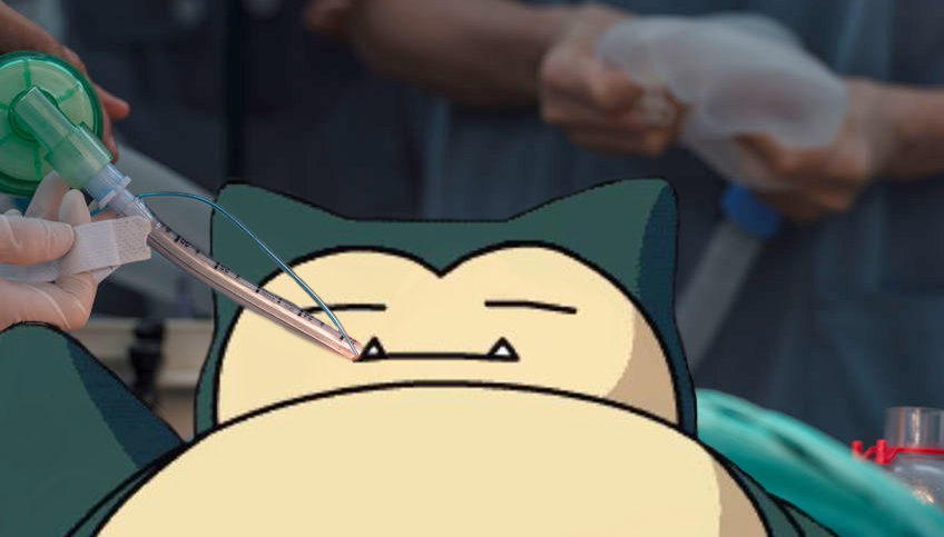 Snorlax, Pokémon