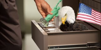 Special Pyxis to Dispense American Flags & Flair Fourth of July