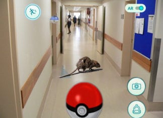 Hospital Rat Mistaken for Pokémon