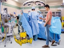 Pokémon Go Update: Local Man Walks Into an OR to Catch Rare Pokémon: Abra