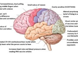 Mutations in the Anti-Vaxxers’ Brain Discovered anti vaccine brain