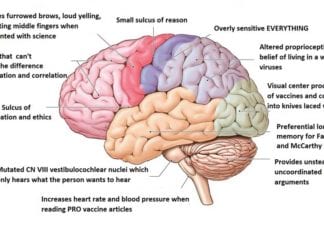 Mutations in the Anti-Vaxxers’ Brain Discovered anti vaccine brain