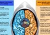 The Left & Right Hemispheres of a Nurse brain hemispheres nurse