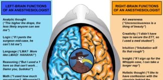 The Left & Right Hemispheres of an Anesthesiologist brain hemispheres anesthesiologist