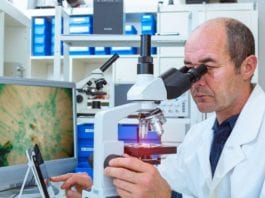 Calling Pathologists Multiple Times Does Not Expedite Reports, Study Finds calling pathologist