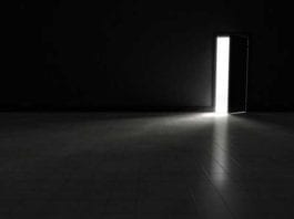 New Species of Radiologist Discovered in Hospital Sub-Basement radiology basement 25-hydroxyvitamin D level