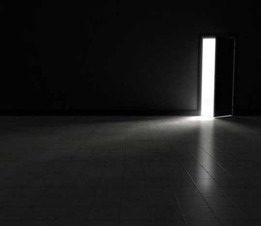 New Species of Radiologist Discovered in Hospital Sub-Basement radiology basement 25-hydroxyvitamin D level