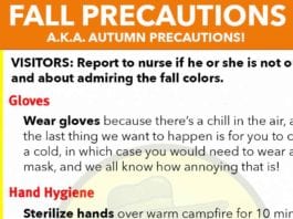 New Fall (Autumn) Precautions Released 2016 Revised Fall Precautions