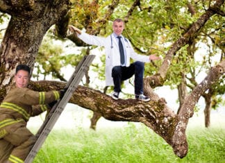 KevinMD Rescues Burned-Out Physician from Tree
