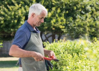 Radiologist Admits He Loves Hedges hedge, hedging