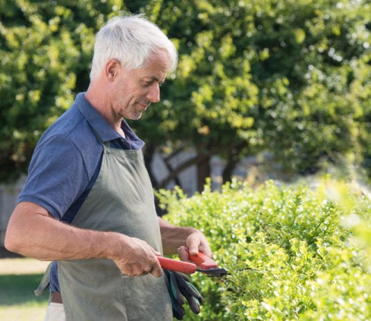 Radiologist Admits He Loves Hedges hedge, hedging