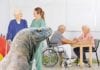PT Recommends Bedside Commode, Bedside Komodo Dragon bedside komodo dragon