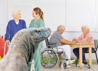 PT Recommends Bedside Commode, Bedside Komodo Dragon bedside komodo dragon