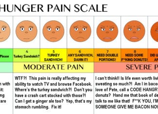 Joint Commission Releases New Hunger Pain Scale hunger pain scale hangry