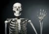 Orthopedic Surgeon General Declares Today “National Bone Day” bone day skeleton bone to pick