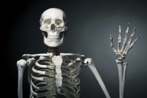 bone day skeleton