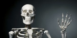 Warning: Ortho Has a Bone to Pick with You bone day skeleton bone to pick