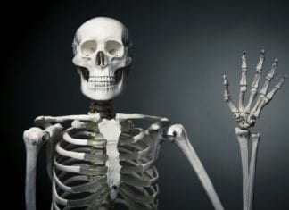 Orthopedic Surgeon General Declares Today “National Bone Day” bone day skeleton bone to pick