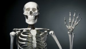bone day skeleton bone to pick
