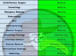 Infographic: Who Should Really Be Primary? primary