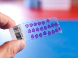 Pathology Slide Fills Out Poor Satisfaction Survey About Pathologist pathology slide