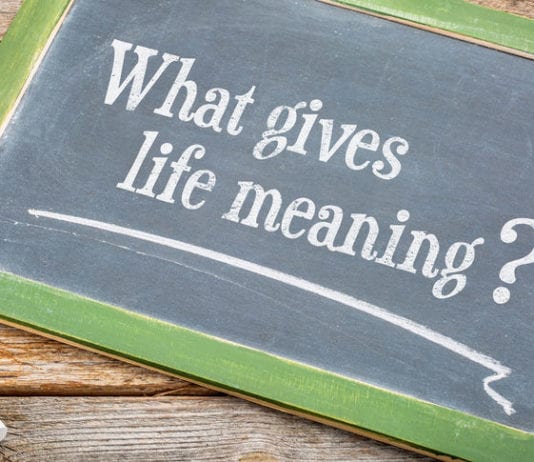 Scientists, Spiritual Leaders Unlock Meaning of Life: Charting, More Charting charting more charting meaning of life