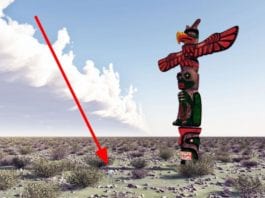 Med Student Begins Long, Long Climb Up the Totem Pole totem poll