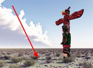 Med Student Begins Long, Long Climb Up the Totem Pole totem poll