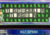 Pat Sajak, Vanna White to Host New Urologic Game Show, Wheel of Foreskin Wheel of Foreskin