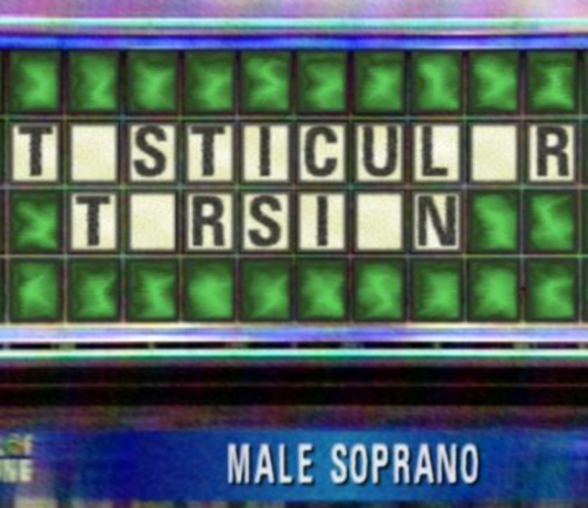 Pat Sajak, Vanna White to Host New Urologic Game Show, Wheel of Foreskin Wheel of Foreskin