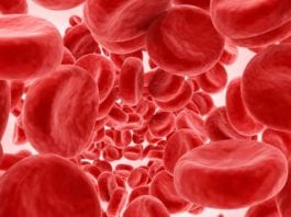 Breaking: Patient Taking Blood Thinner to Keep Blood Thin! red blood cells