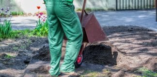 Orthopod Rushes Home to Bury Bone in the Backyard orthopod bury bone backyard