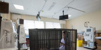 Intern Put Into Timeout Cage to Think About What She Did