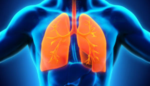 respiratory system secedes capacity