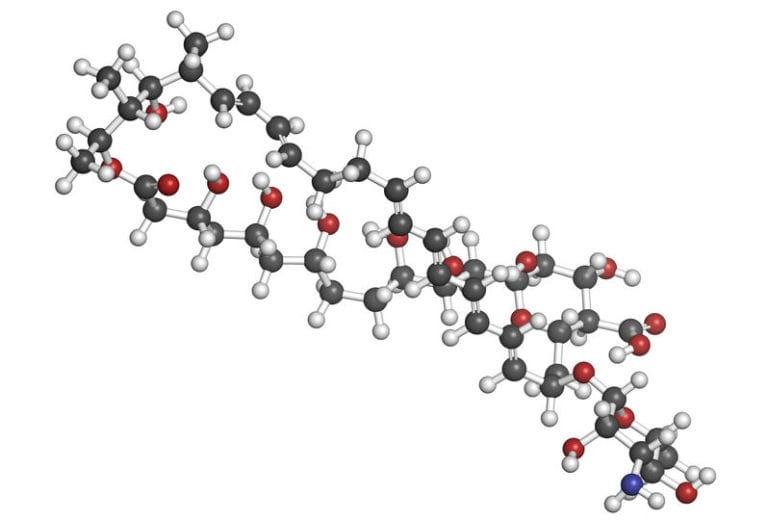 nystatin statin