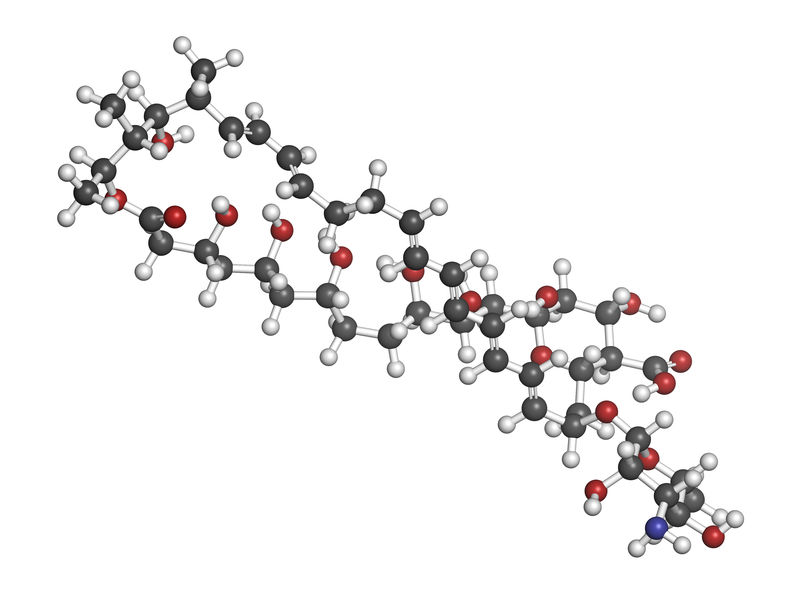 nystatin statin