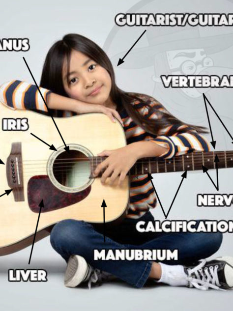 guitar