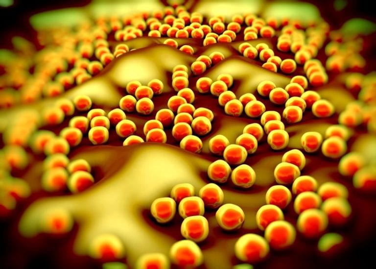 Staph Aureus Bacterium Ridiculed by for Still Being Sensitive to Methicillin